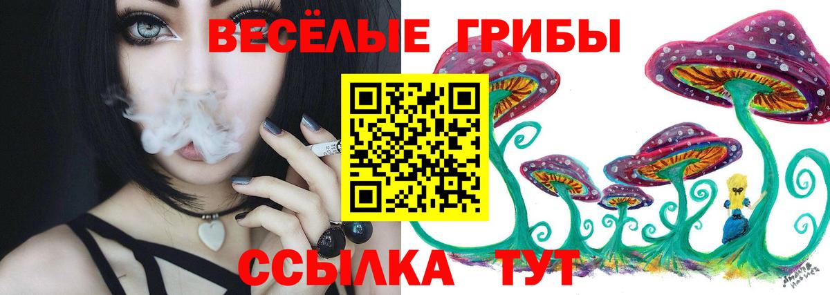 Псилоцибиновые грибы прущие грибы Рассказово