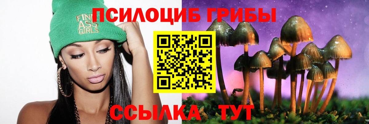 Галлюциногенные грибы прущие грибы Рассказово